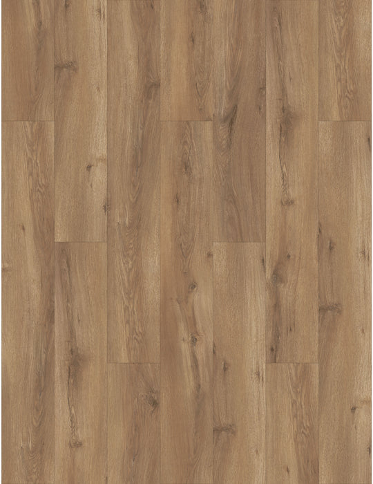 Continental Oak
