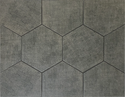 Best Shaded Hexagon tiles floors