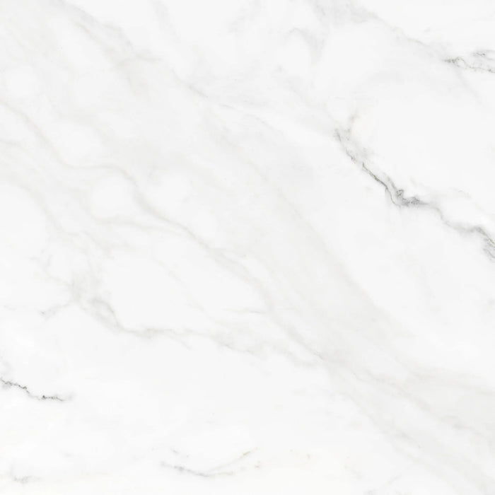 insignia white marble matte finish 24 inch by 24 inch porcelain bedroom tile