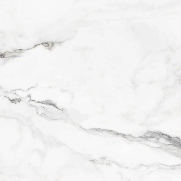 insignia white marble matte finish 24 inch by 24 inch porcelain floor tile