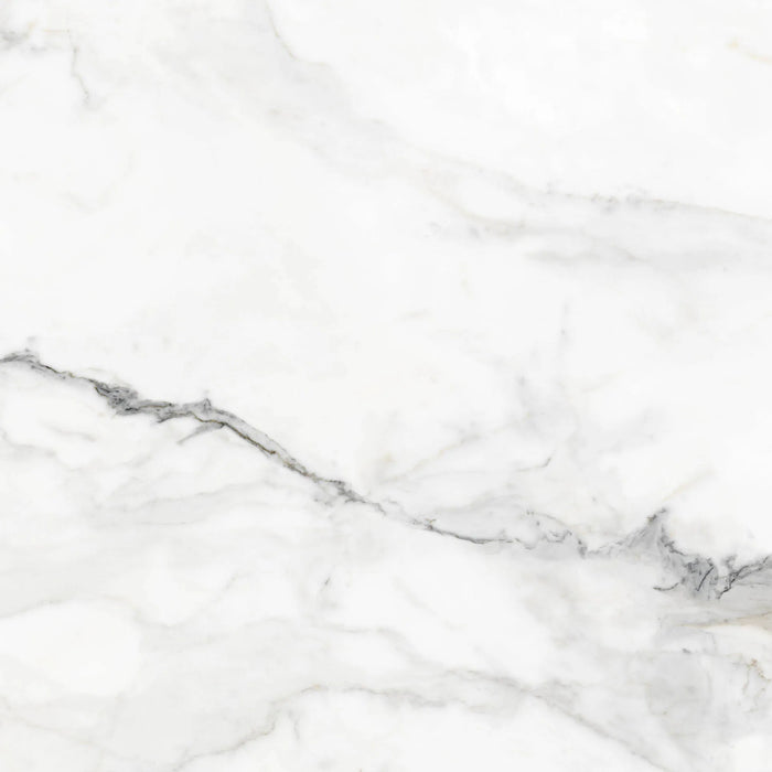 insignia white marble matte finish 24 inch by 24 inch porcelain grey veins bathroom tiles