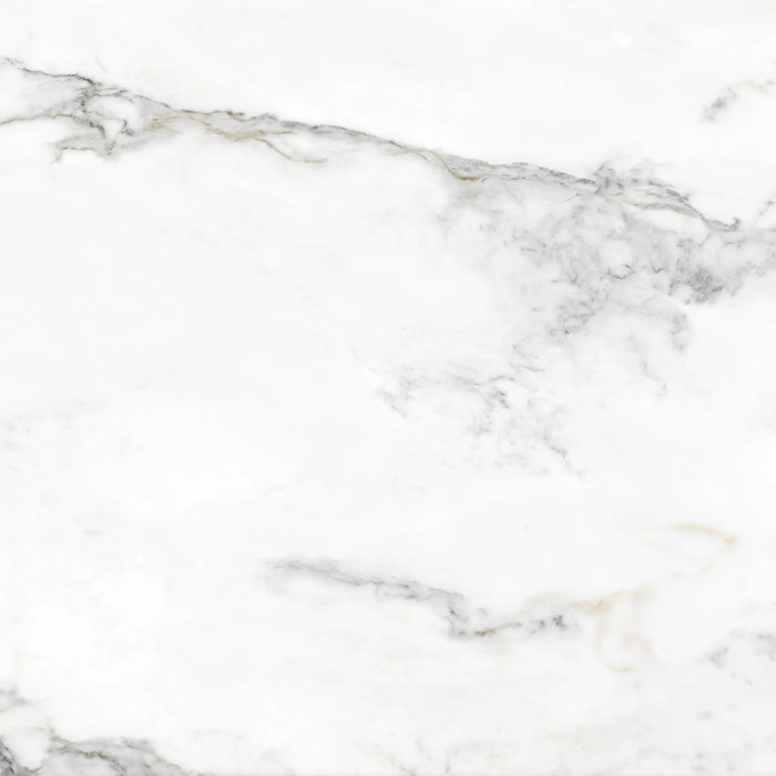 insignia white marble matte finish 24 inch by 24 inch porcelain grey veins wall tiles
