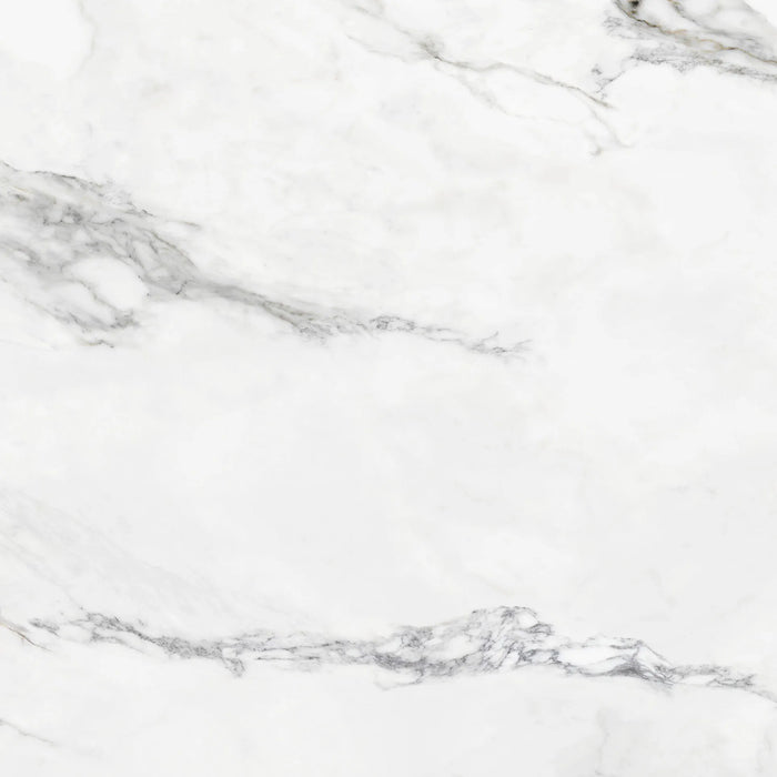 insignia white marble matte finish 24 inch by 24 inch porcelain wall tile