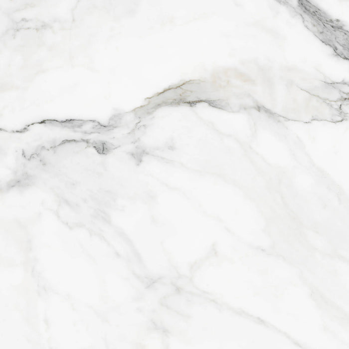 insignia white marble matte finish 24 inch by 24 inch porcelain wall tiles