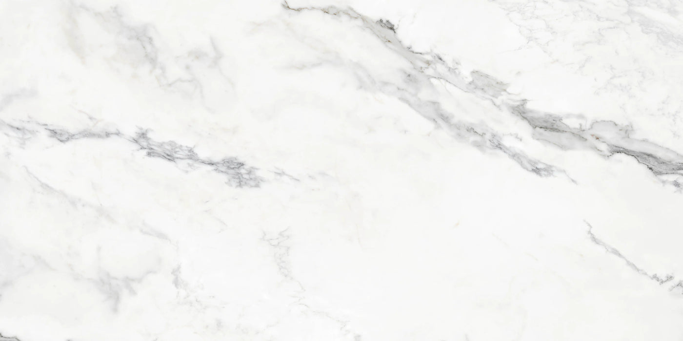 Insignia White Marble dining room matte tiles floor