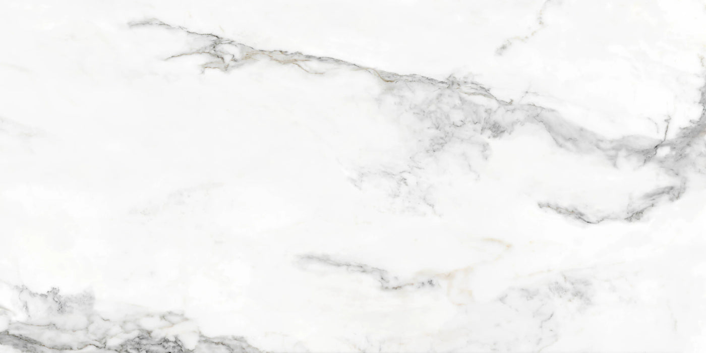Insignia White Marble living room matte tiles wall