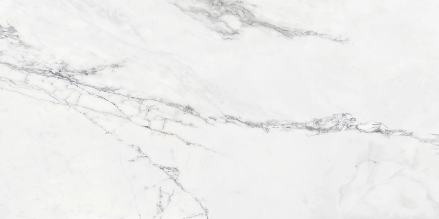 insignia white marble matte finish porcelain grey veins bedroom tile