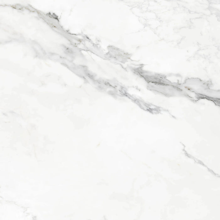 insignia white marble matte finish porcelain grey veins bathroom tiles