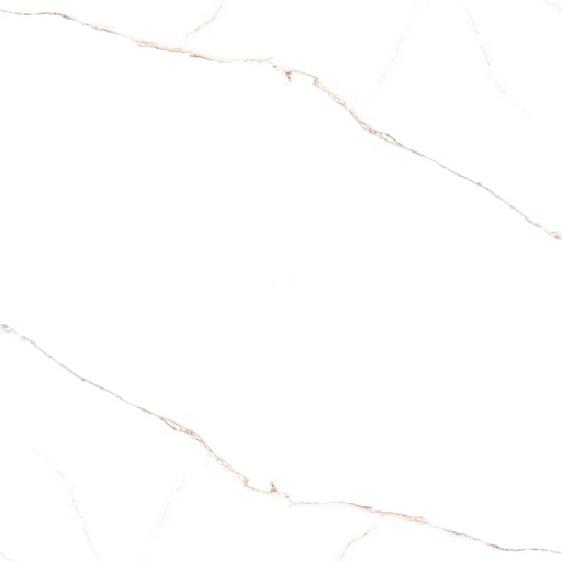 lance polished porcelain 24x48 inch floor and wall tile