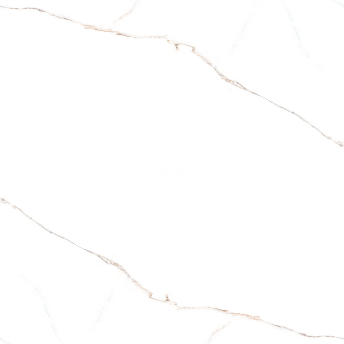 lance polished porcelain 24x48 inch floor and wall tile