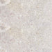 manor grey ceramic limestone floor tile