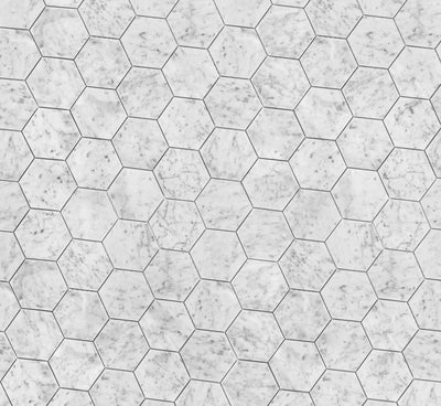 White Carrara Honed 4" Hexagon Mosaic living white tiles wall