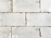 sheldon white body concrete look wall tiles