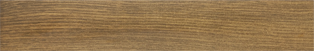 tauste nogal floor porcelain wood finish style tile