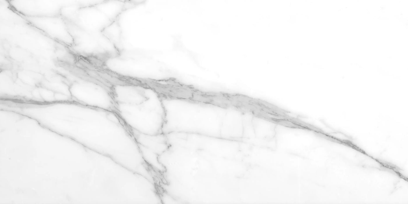 tholos 24 inch by 48 inch white polished porcelain floor and wall tiles